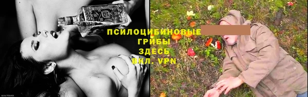 Альфа ПВП Магас