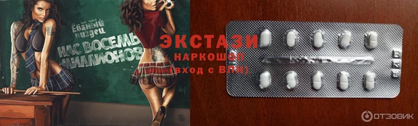 ECSTASY Бородино