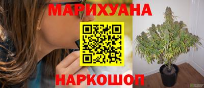 PSILOCYBIN Азнакаево