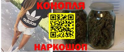 PSILOCYBIN Азнакаево