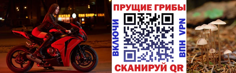 где купить наркотик Апатиты Псилоцибиновые грибы мухоморы