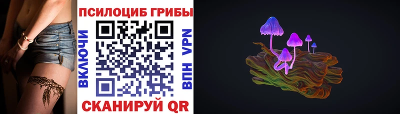 Псилоцибиновые грибы Cubensis Апатиты