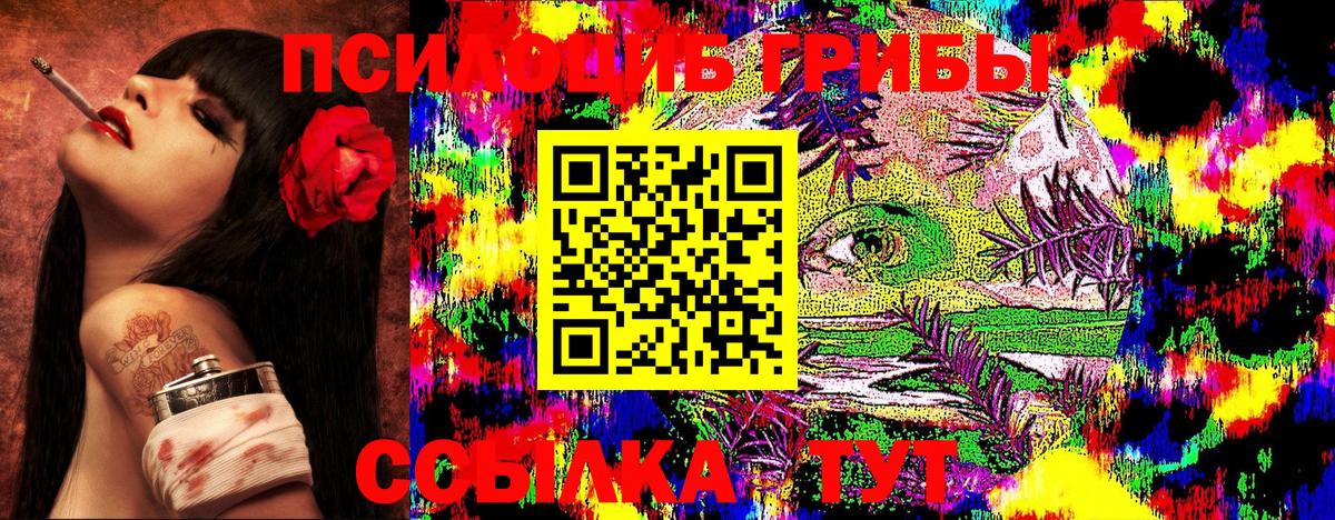 Псилоцибиновые грибы Cubensis Апатиты