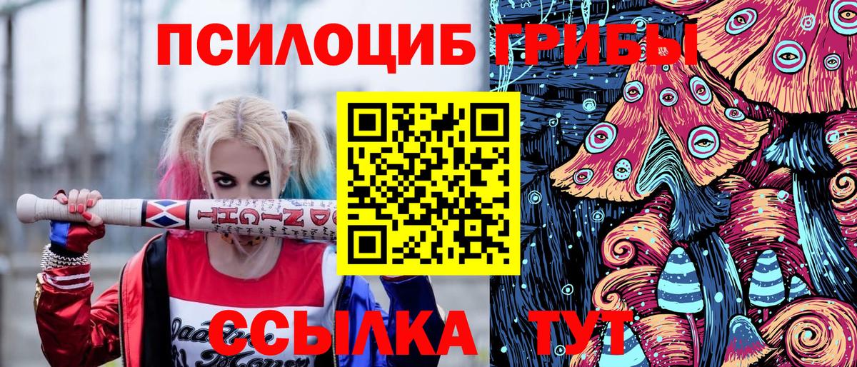 Галлюциногенные грибы GOLDEN TEACHER  Апатиты  Псилоцибиновые грибы GOLDEN TEACHER 