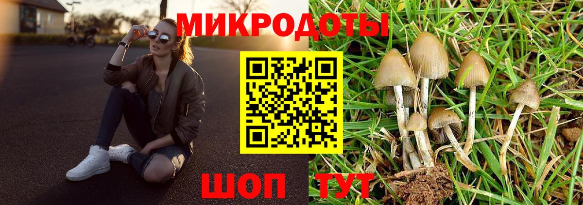 Апатиты  Псилоцибиновые грибы ЛСД  Вход с VPN 